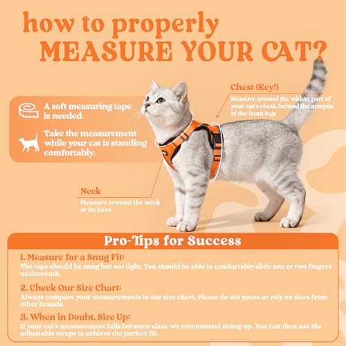 Cat Harness and Leash Set (M / Orange)