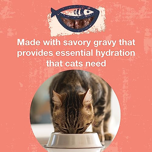 Poké Bowl Tuna & Salmon Entree in Gravy for Cats (3 Ounce (Pack of 12))