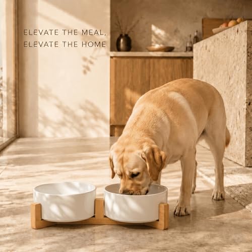 Ceramic Dog and Cat Bowl Set with Wooden Stand (5 cups / White × 2)