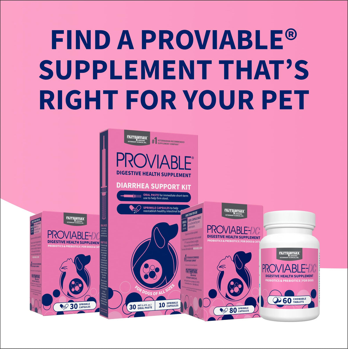 Proviable Probiotics + Prebiotics (80 Count)