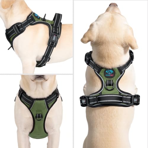 No Pull Dog Harness with Handle Reflective Padded Vest (Extra Small / Misty Green)