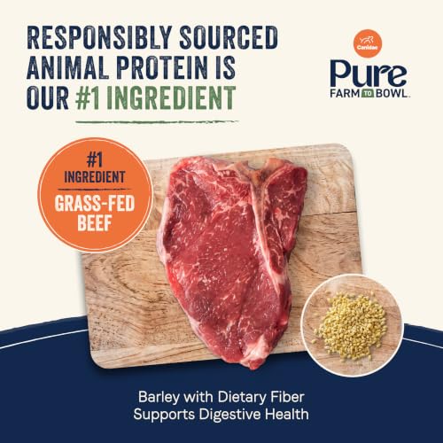 Pure Farm to Bowl Dog Food (22 Pound (Pack of 1))