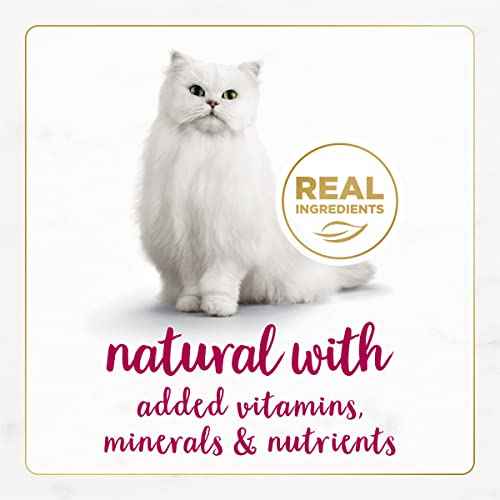 Purina Fancy Feast Gourmet Naturals Chicken and Beef (1 Count (Pack of 12))