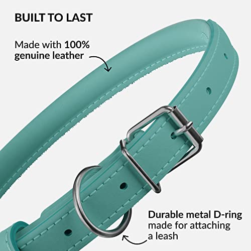 Tangle Free Reflective Leather Dog Collar (Mint Green / XL)