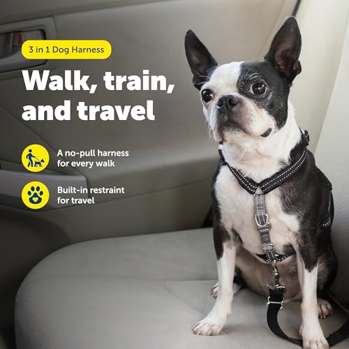 3 in 1 No Pull Dog Harness