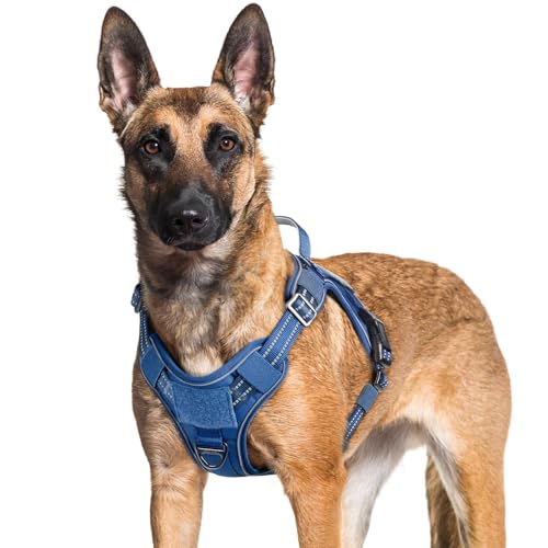 Tactical Dog Harness for Large Dogs (Xl(chest:23.6"-41.8",neck:21.7"-32.3",back:9.1") / Blue)