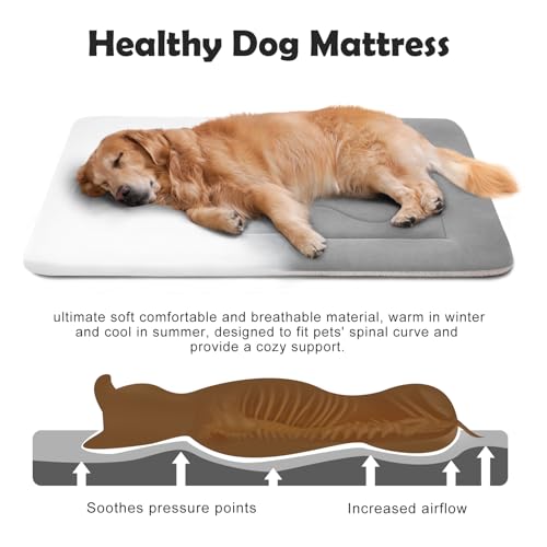 Dog Bed 36 in Non (36.0"L x 23.0"W x 1.2"Th / Clay Gray)