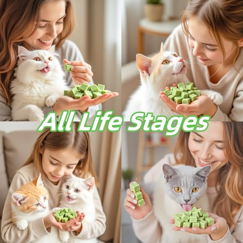 Cat Grass Treat Indoor 120g (4.23 Ounce (Pack of 1))