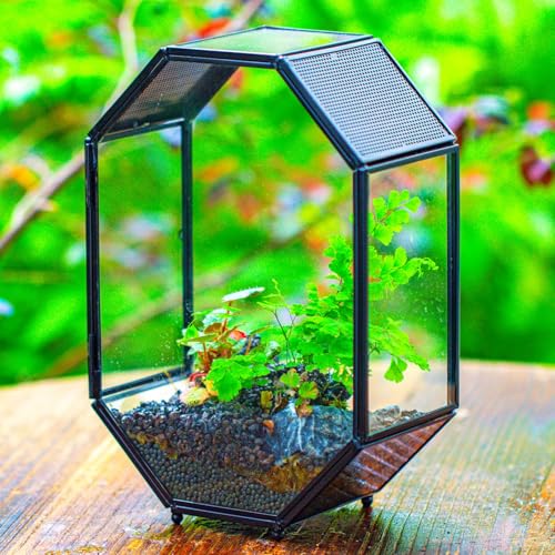Glass Enclosure Terrarium with Mesh and Door for Spiders (6.2 x 3.1 x 8.7 inches)