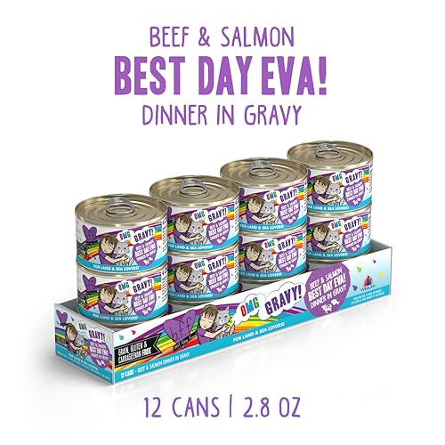 B.F.F. OMG Best Feline Friend Oh My Gravy! (2.8 Ounce (Pack of 12))