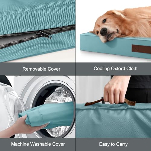 Orthopedic Waterproof Dog Bed for Small Dogs and Cats (Light Blue / 29.0"L x 18.0"W x 3.0"Th)