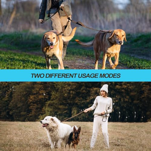 Double Dog Leash (Brown)