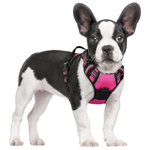 Dog Harness No Pull for Small Dogs with 2 Leash Clips (Small / Hot Pink)