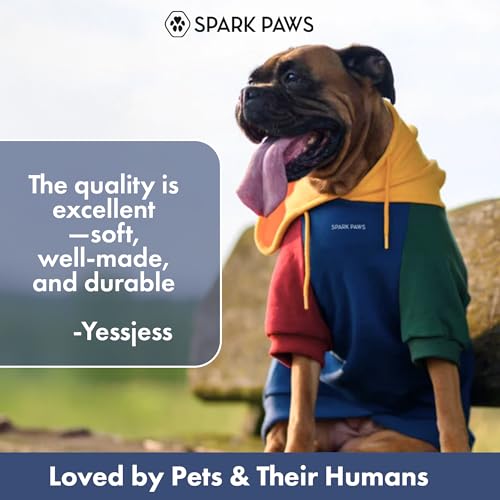 Dog Hoodie Buttery (Primary Color Block / 4XL)