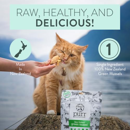 PURR NZ Green Lipped Mussels Freeze Dried (1.76 Ounce (Pack of 1))