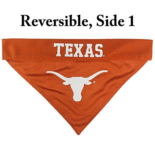 Collegiate Pet Accessories (Small/Medium / Texas Longhorns)