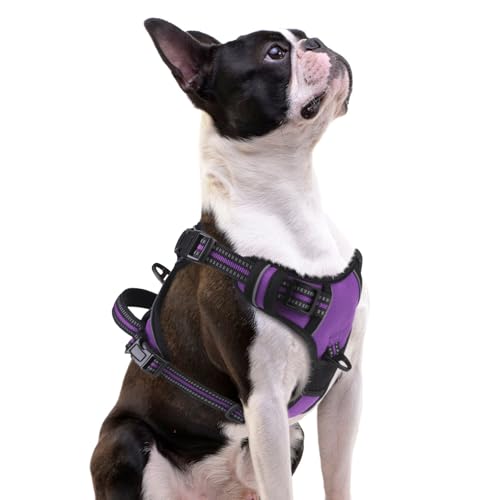 No Pull Dog Harness Small Sized (Purple / Small)