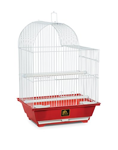 SP50011 Bird Cage