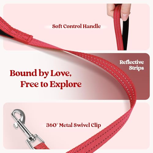 Dog Harness Small Sized and Leash Set (Red / Xxxs (chest: 10.8 - 11.8"))