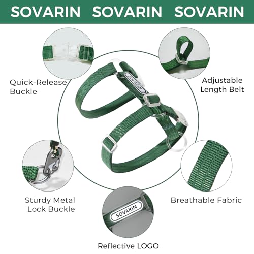 Cat Harness and Leash Set (Green)