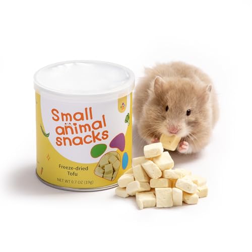 Hamster Snack & Treats Toy