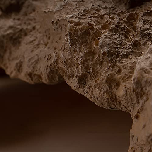 Reptile Hide Bearded Dragon Cave Hideouts Habitat Décor for Snake (Large)