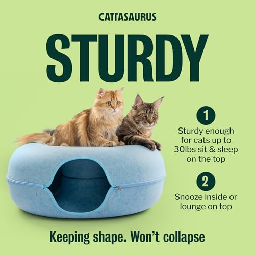 Peekaboo Cat Cave Donut for Multiple & Large Cats up to 30 (Blue / Jumbo)