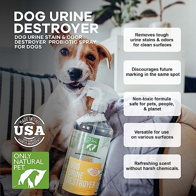 Enzyme Powered Stain & Odor Eliminator (32 Fl Oz (Pack of 2))