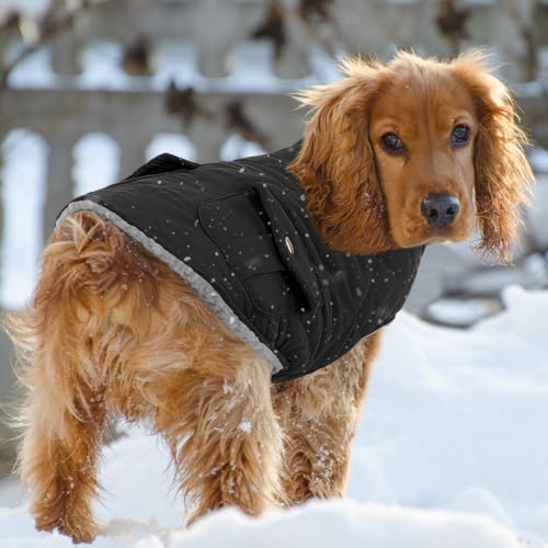 Waterproof Dog Winter Coat Warm Puffer Jacket Cold Weather Vest (Small / Black)