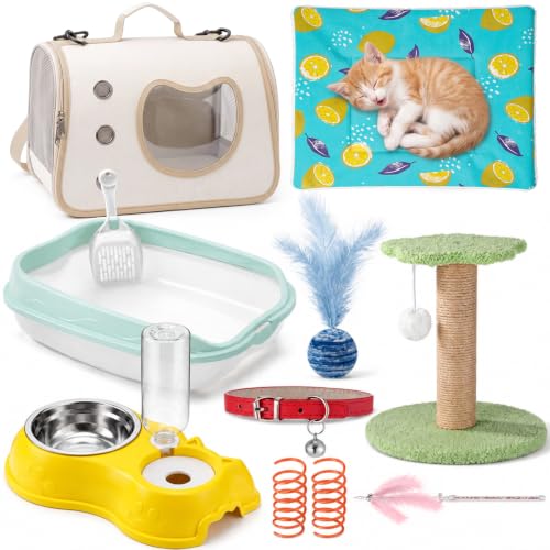 10 Pcs Kitten Starter Kit for Indoor (Cute / Small / Multicolor)