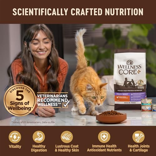 CORE+ Hairball Adult Dry Cat Food (4.75 Pound (Pack of 1))