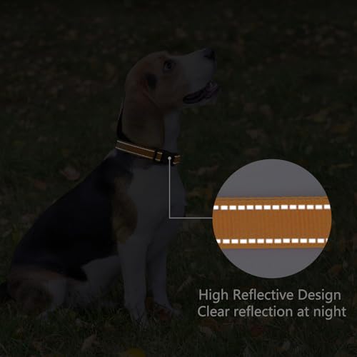 Reflective Dog Collar (Light Orange / L:width 1"neck 17.5-27")