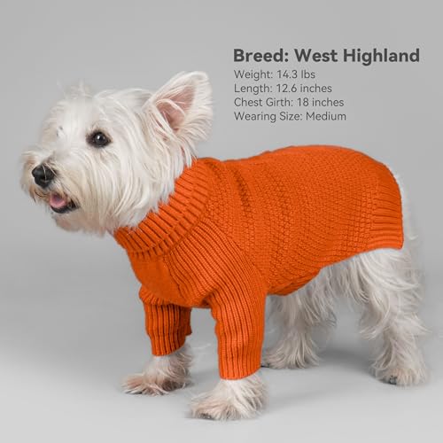 Dog Sweater Long Sleeve Knitted Turtleneck Pullover Warm Clothes (Orange / XXX-Large)