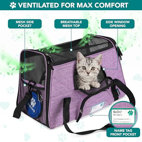 Airline Approved Pet Carrier Cats & Small Dogs (Heather Purple / 17.0"L x 10.2"W x 11.2"H)