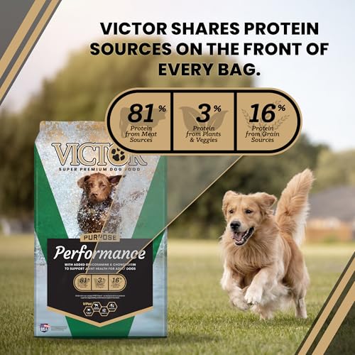 Performance Dry Dog Food (5 Pound (Pack of 1))