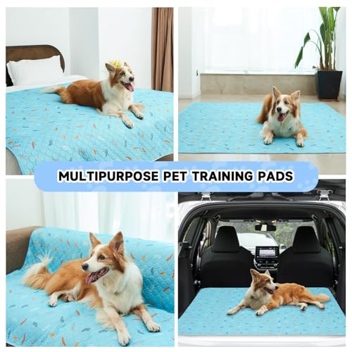 2 Pack Washable Guinea Pig Pee Pads (Leaves - Sky Blue / 24x48 Inch (Pack of 2))