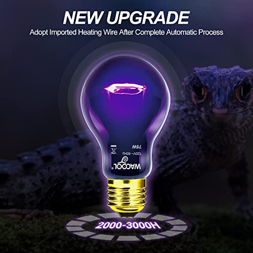 WACOOL 2Pack Reptile Night Heat Lamp