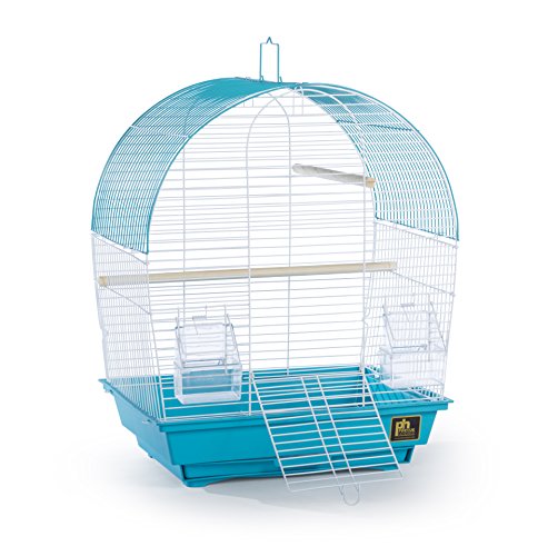 South Beach Dome Top Bird Cage (Dome - Teal / 10.6"L x 0.6"W x 18.1"H)