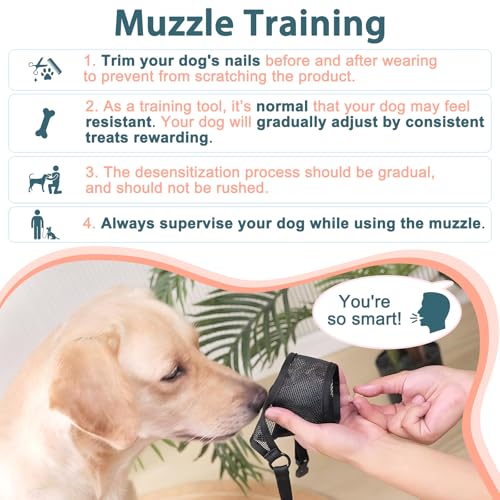 Dog Muzzle for Large Medium Small Dogs German Shepherd Labrador (Brown / XL(Snout:11"-12.25"))