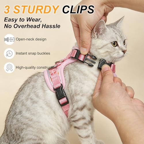 Cat Harness and Leash (Pink Flower / Medium (Chest: 16 - 20"))