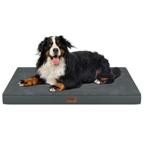 Outdoor Extra Large Dog Bed XXL for Giant Breed Dogs (Dark Gray / 47.0"L x 29.0"W x 3.5"Th)