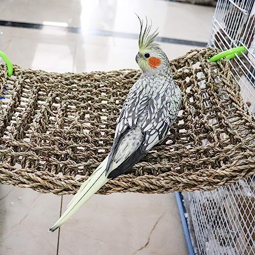16 x 12 Inches Bird Seagrass Mat (16 x 12 Inches)