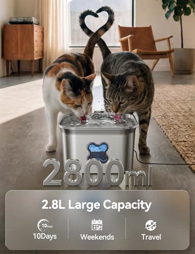 Cat Water Fountain