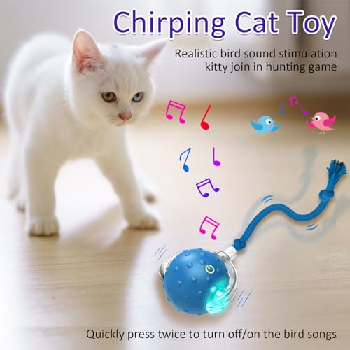 Interactive Cat Toys Ball for Indoor Cats Fast Rolling on Carpet