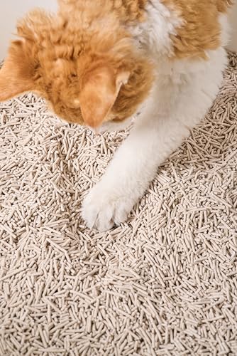 Tofu Cat Litter with Recycled Coffee Grounds