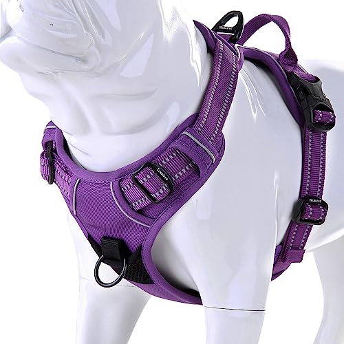 Truelove No Pull Dog Harness with Easy Control Handle and 2 Leash Attachments (Large / purple)
