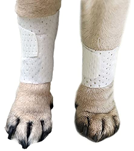 Basic Leg Bandages for Dogs (3XS 10-Pack)