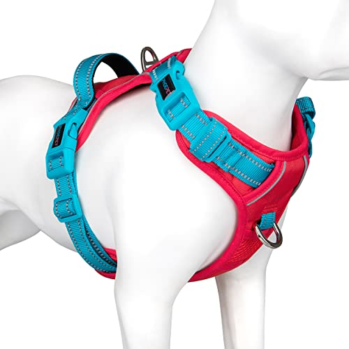No Pull Dog Harness (Red Base & Teal Straps / Extra Small)