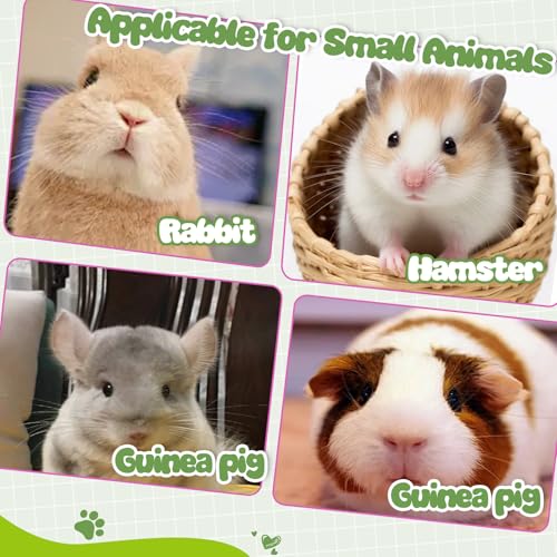 Rabbit Digestive Treats