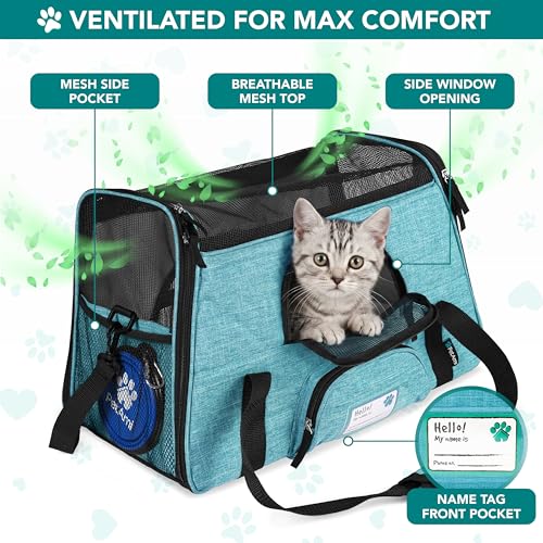 Airline Approved Pet Carrier for Cats Small Dogs (Heather Blue / 17.0"L x 10.2"W x 11.2"H)
